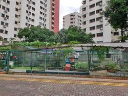Blk 543 Jelapang Road (Bukit Panjang), HDB Executive #205082401